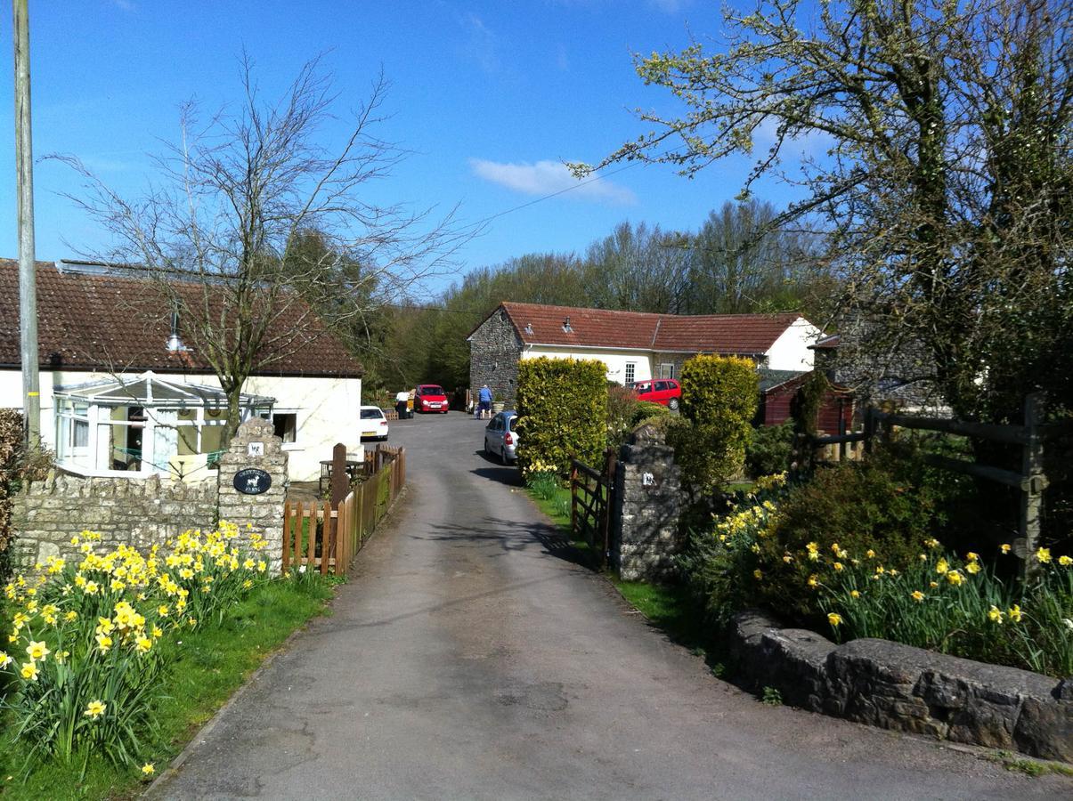Greyfield Farm Cottages Farmborough ภายนอก รูปภาพ